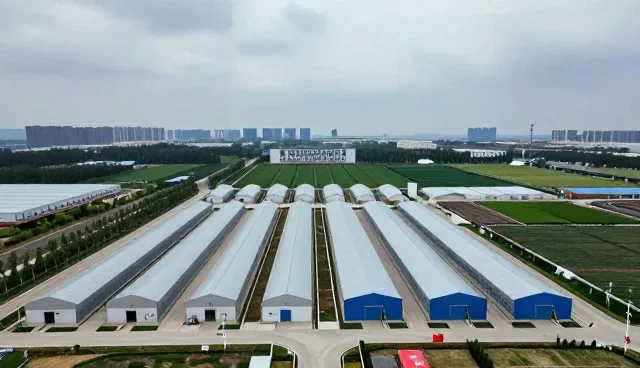 项目施工管理中常见问题及应对策略